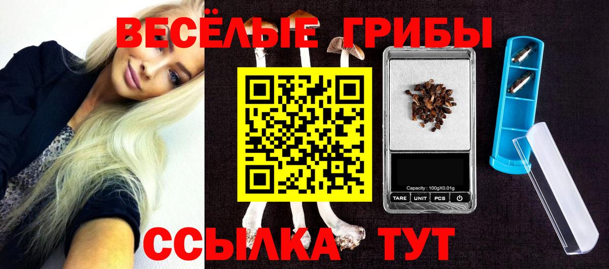 Псилоцибиновые грибы MAGIC MUSHROOMS Симферополь